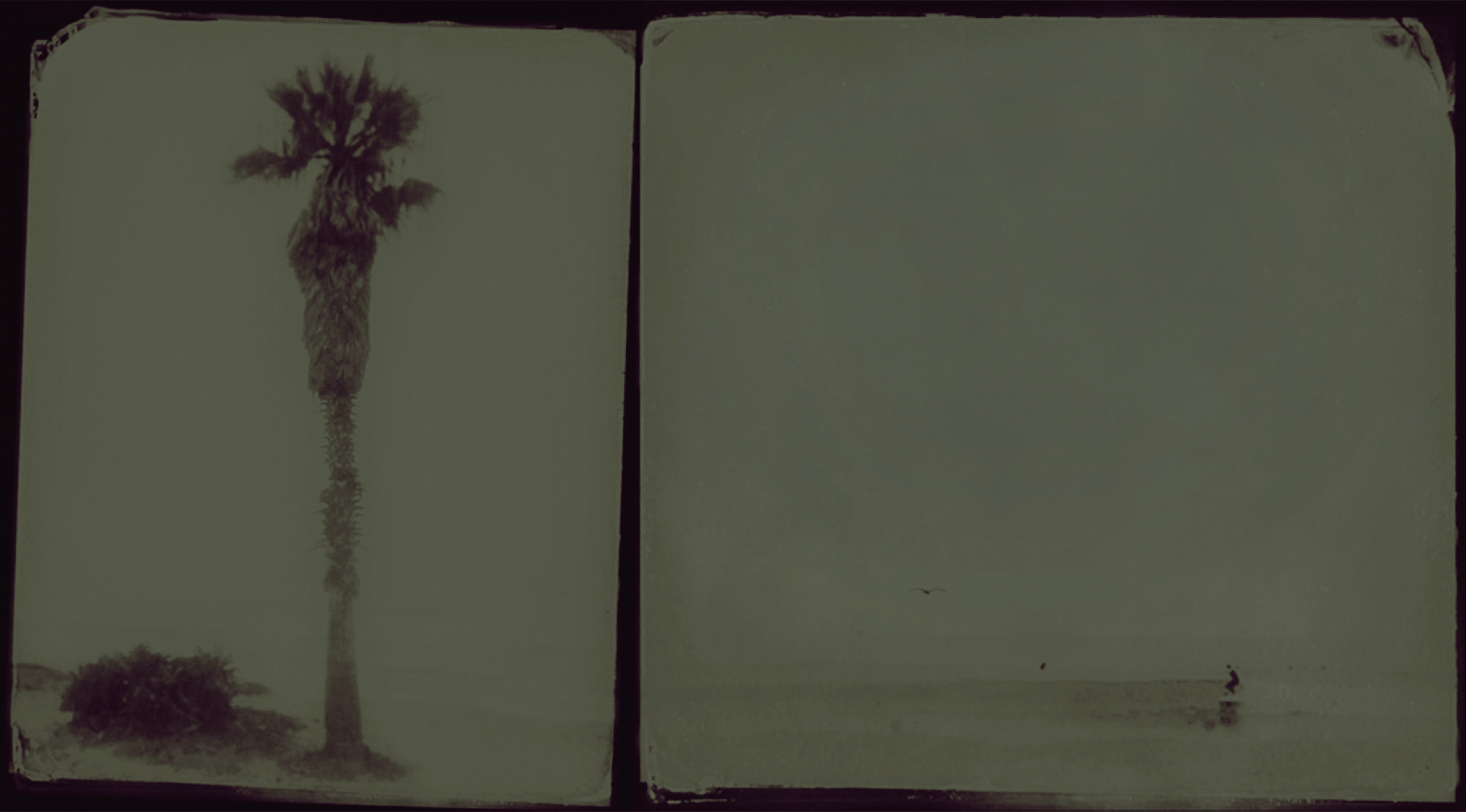 FinStudy: Inside/Outside (wet-plate sketch)